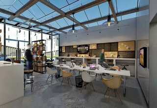 汕头植物灯全塑管厂家