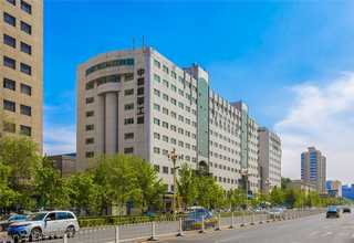 河北女士箱包推荐