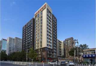 浙江省商场仿真植物批发